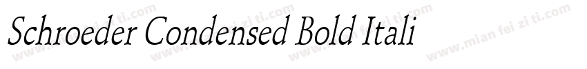 Schroeder Condensed Bold Italic字体转换